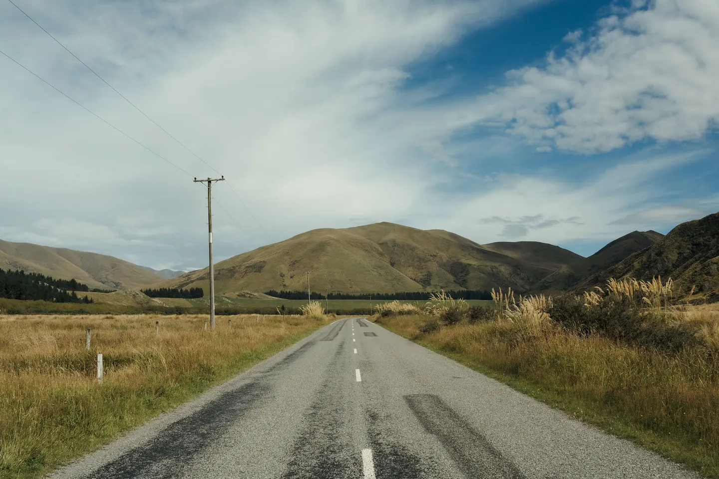 Wedding photograph 276