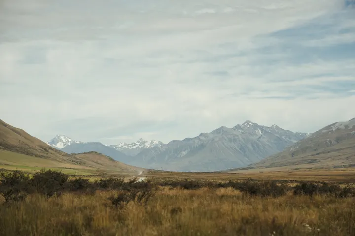 Wedding photograph 003